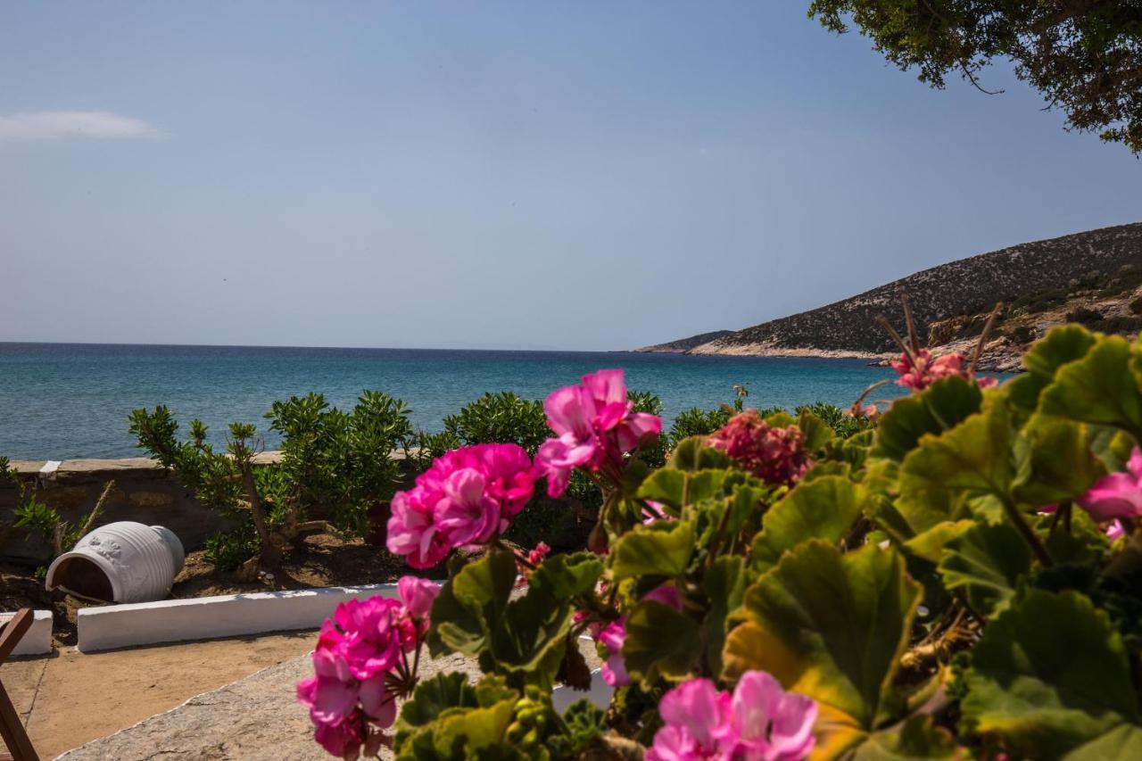 Platis Gialos  Pension Ageliki Sifnos מראה חיצוני תמונה